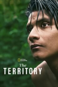 The Territory